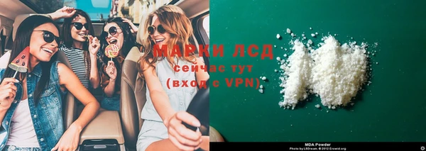 прущие грибы Абинск