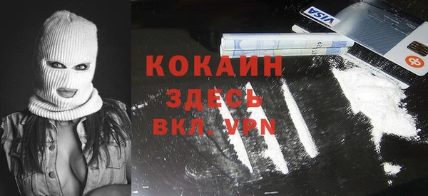 прущие грибы Абинск