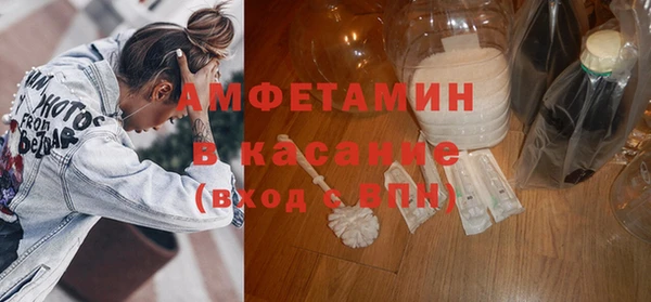 прущие грибы Абинск