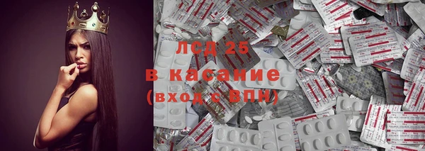 прущие грибы Абинск