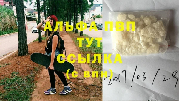 прущие грибы Абинск