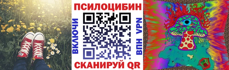 что такое   Краснозаводск  Галлюциногенные грибы Magic Shrooms 